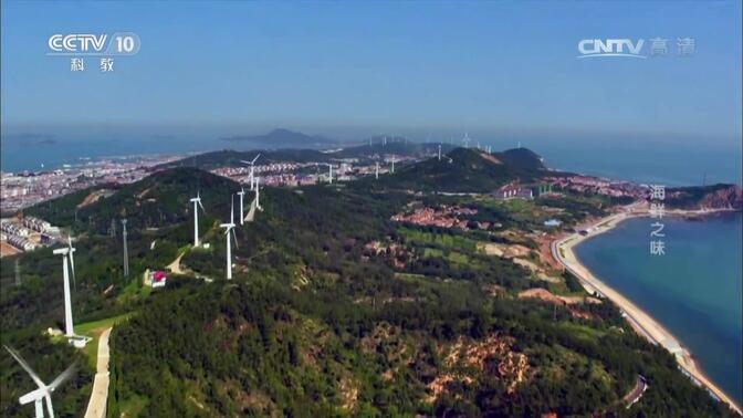 东方海鲜音迈德 在Bilibili的跨界美食音乐浪潮