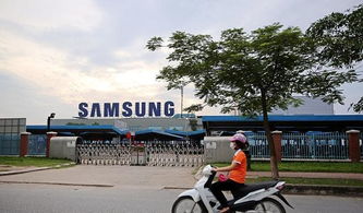 越南“世界工厂”梦遇阻，东方经济磁力重现——外企回流背后的全球产业格局重塑